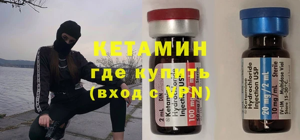шишки Бородино