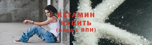 шишки Бородино