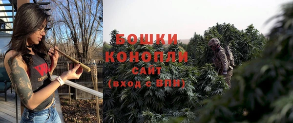 шишки Бородино