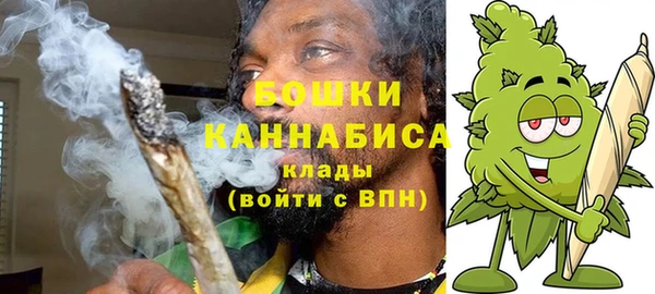ПСИЛОЦИБИНОВЫЕ ГРИБЫ Бронницы